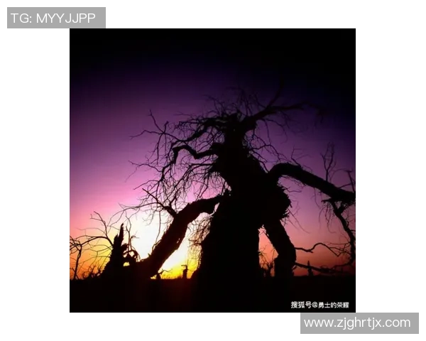 鲁本迪亚斯的崛起之路：从青涩小将到世界顶级后卫的传奇旅程